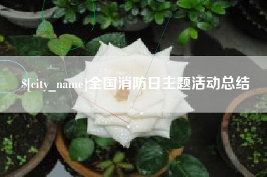 临清全国消防日主题活动总结
