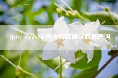 临清中国消防救援学院管严吗