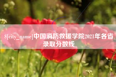 临清中国消防救援学院2021年各省录取分数线