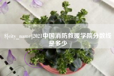 临清2021中国消防救援学院分数线是多少