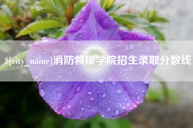 临清消防救援学院招生录取分数线