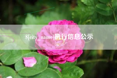 临清执行信息公示
