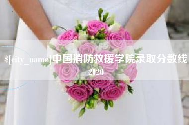 临清中国消防救援学院录取分数线2020
