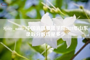临清中国消防救援学院2021年山东录取分数线是多少