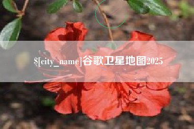 临清谷歌卫星地图2025