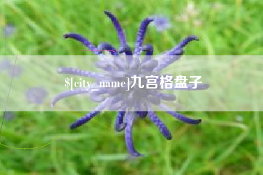 临清九宫格盘子
