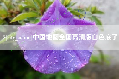 临清中国地图全图高清版白色底子