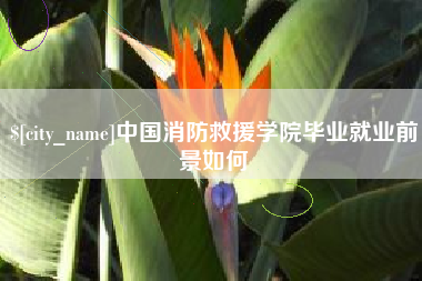 临清中国消防救援学院毕业就业前景如何