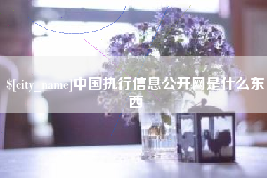 临清中国执行信息公开网是什么东西