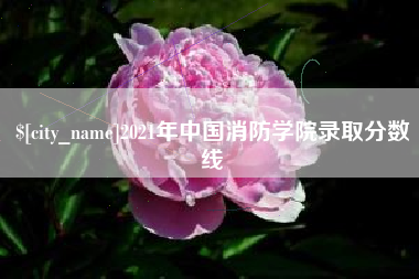 临清2021年中国消防学院录取分数线