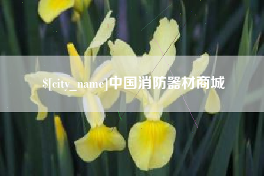 临清中国消防器材商城