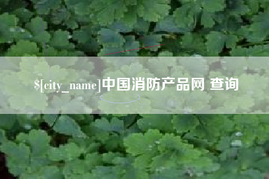 临清中国消防产品网 查询