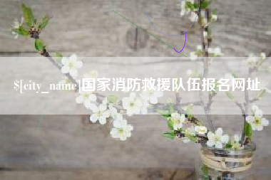 临清国家消防救援队伍报名网址