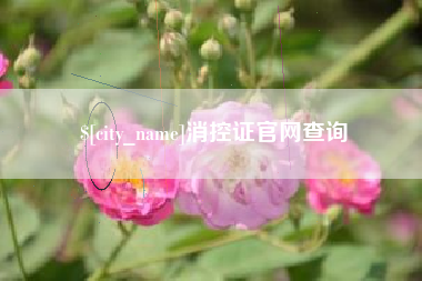 临清消控证官网查询