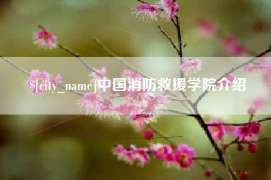 临清中国消防救援学院介绍