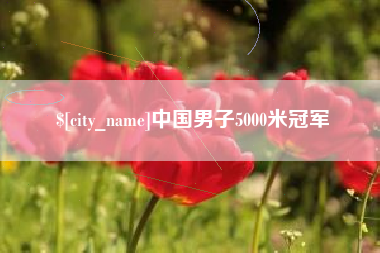 临清中国男子5000米冠军
