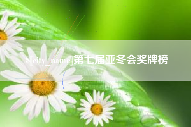 临清第七届亚冬会奖牌榜
