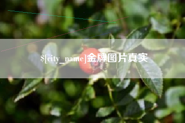 临清金牌图片真实