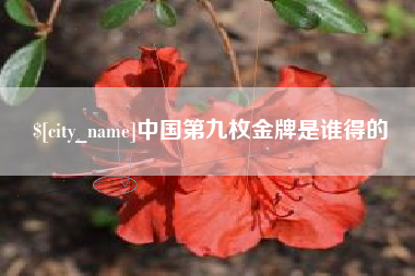 临清中国第九枚金牌是谁得的