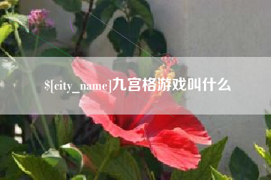 临清九宫格游戏叫什么