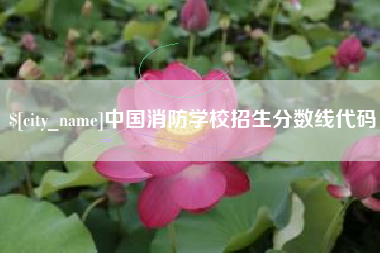 临清中国消防学校招生分数线代码