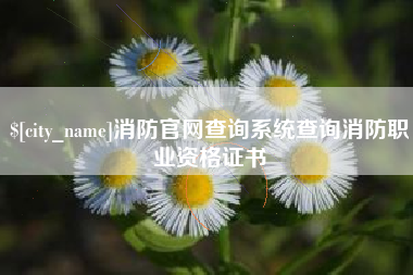 临清消防官网查询系统查询消防职业资格证书