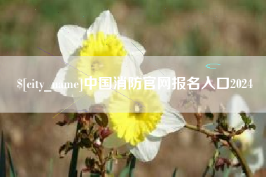 临清中国消防官网报名入口2024