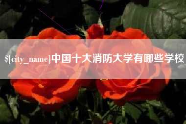 临清中国十大消防大学有哪些学校
