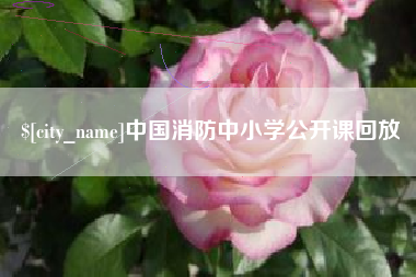 临清中国消防中小学公开课回放