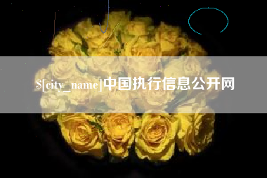 临清中国执行信息公开网
