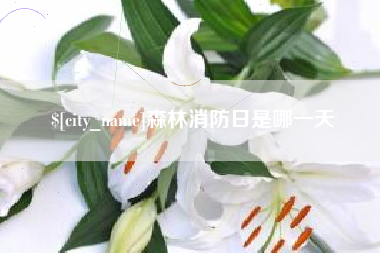 临清森林消防日是哪一天