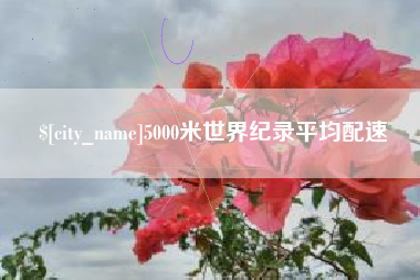 临清5000米世界纪录平均配速