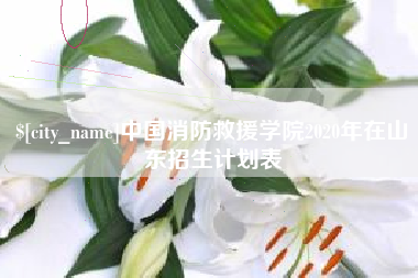 临清中国消防救援学院2020年在山东招生计划表
