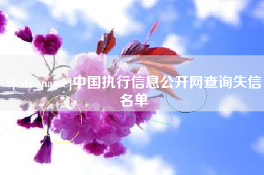 临清中国执行信息公开网查询失信名单