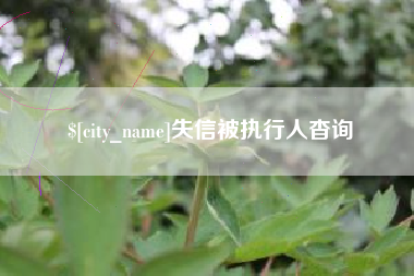临清失信被执行人杳询