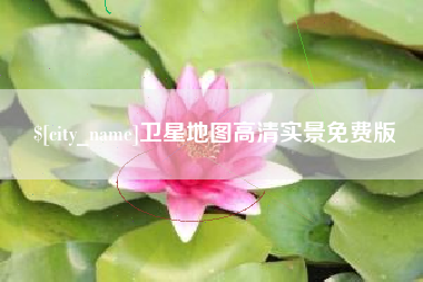 临清卫星地图高清实景免费版