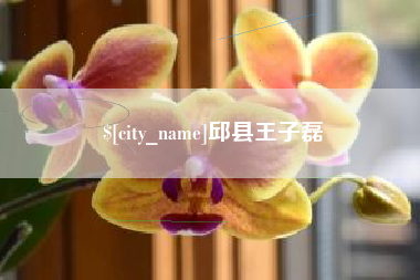 临清邱县王子磊