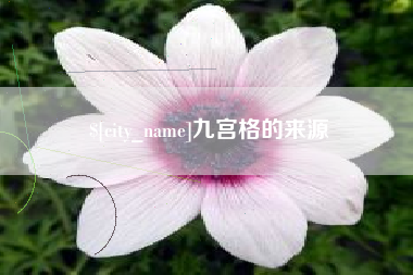 临清九宫格的来源