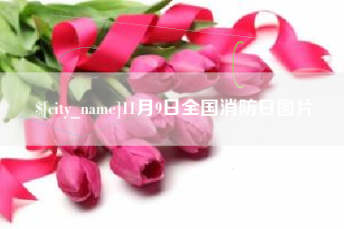 临清11月9日全国消防日图片