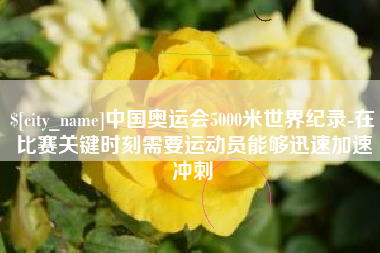 临清中国奥运会5000米世界纪录-在比赛关键时刻需要运动员能够迅速加速冲刺