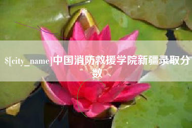 临清中国消防救援学院新疆录取分数