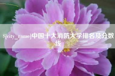 临清中国十大消防大学排名及分数线