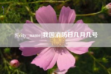 临清我国消防日几月几号
