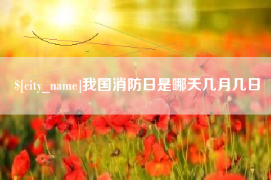 临清我国消防日是哪天几月几日