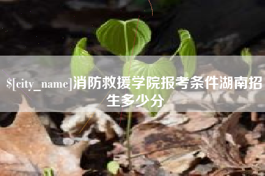 临清消防救援学院报考条件湖南招生多少分