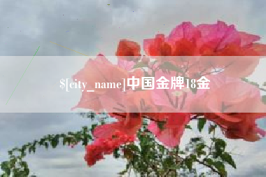 临清中国金牌18金