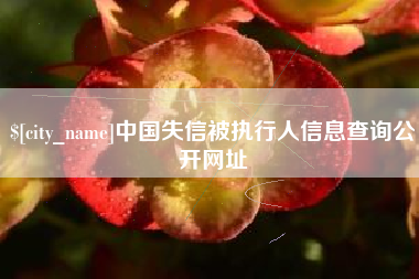 临清中国失信被执行人信息查询公开网址