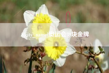 临清奥运会39块金牌