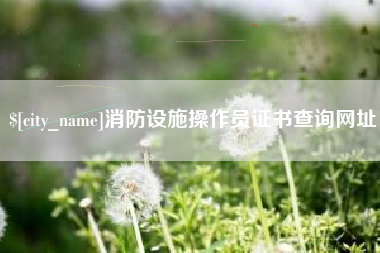 临清消防设施操作员证书查询网址
