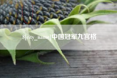 临清中国冠军九宫格